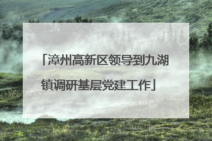 漳州高新区领导到九湖镇调研基层党建工作